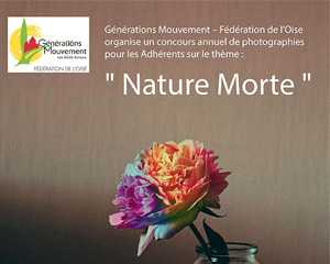 Lire la suite à propos de l’article Résultats du concours photo départemental “Nature morte”