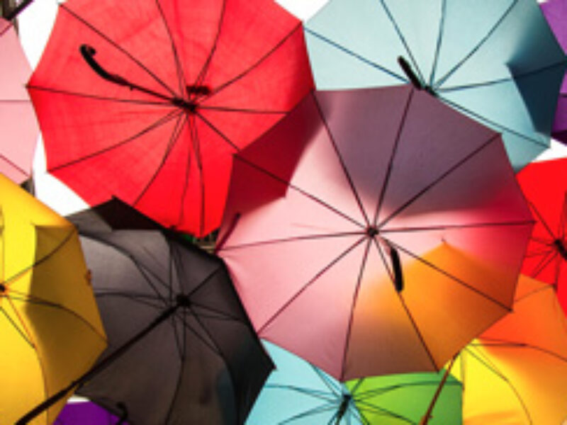 Concours photo départemental 2026 « Parapluie »