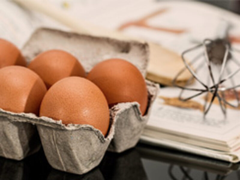 Création d&rsquo;un livre de recettes des adhérents GM